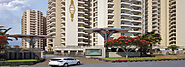 Apex Floral Aura Noida Extension Price List