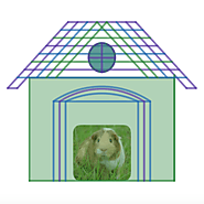 Pet House: A Linear Project! • Activity Builder by Desmos