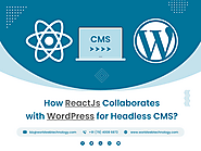 How ReactJs Collaborates with WordPress for Headless CMS? - World Web Technology