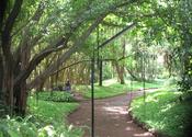Stroll through Osho Gardens