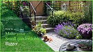How to Make Your Small Garden Look Bigger