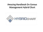 Amazing Handbook On Census Management Hybrid Chart