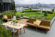 How To Create A Roof Garden