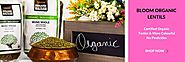 Buy Online Organic Dals, Lentils and Beans In ON, Canada | Bloom Organic Bazaar