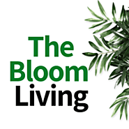 Get More Information About Our Bloom Organic Bazaar | About Best Online Organic Bazaar In Canada