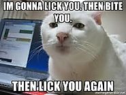 They Will Lick Your Face
