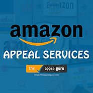 Best Amazon Appeal Consultancy Services | The Appeal Guru