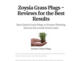 Zoysia Grass Plugs - Reviews for the Best Results