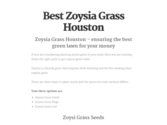 Best Zoysia Grass Houston