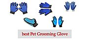 Top 10 Best Pet Grooming Gloves of 2019