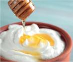 Best Rated Euro Cuisine Yogurt Maker Machine Reviews 2014