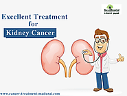 Website at https://www.cancer-treatment-madurai.com/types-of-cancer-kidney-cancer.html