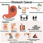 Website at https://www.cancer-treatment-madurai.com/stomach-and-oesophagus-cancer.html