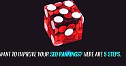 Want to Improve your SEO Rankings? Here are 5 Steps.