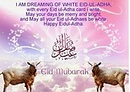 Top 100+ Eid Ul Adha SMS, Messages & Greetings (All Time Best)