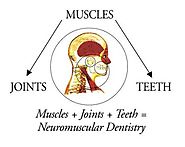 TMJ & Neuromuscular Dentistry | Facets