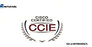 One of the CCIE training institutes in Mumbai