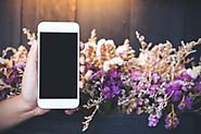 Love blooms here: On Demand Flower delivery app