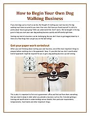 How To Begin Your Own Dog Walking Business