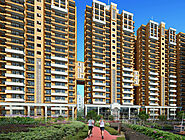 AIG Royal Sector 1 Noida Extension