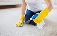 What You Need To Know Before You Hire A Carpet Cleaner - Business Module Hub
