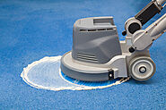 The Advantages of Hiring Professional Carpet Cleaners for Your Business