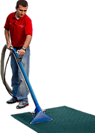 Elevate Your Business Environment with Commercial Carpet Cleaner