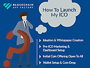 Launch Your Own ICO