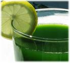 Best Top Rated Wheatgrass Juicers for the Money Cool Kitchen Stuff