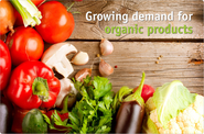 Demand for Organic Food Products Online in India on the Uptick