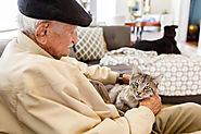 Why Seniors Can (and SHOULD!) Keep Pets at Home