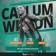 Callum Wilson - Football Player's Profile by TipsPortal.com