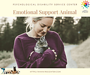 Why emotional support animals are chosen to help mental health patients? | ESA letter | PDSC