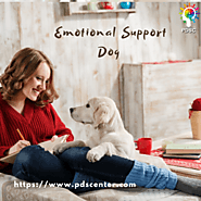 Why an emotional support dog is considered a good emotional companion?