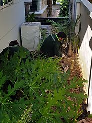 Landscaping Services Singapore | Landscape Contractor Singapore - Green Garden
