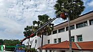 Avail Our Best Cleaning and Landscaping Services for Your Environment