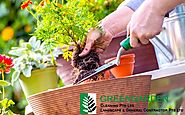 Find the Best Janitorial and landscape Contractors in Singapore