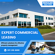 Essentials of Commercial Property Leasing