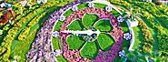 Dubai Miracle Garden Tour - EZ Tourism DMCC