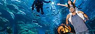 Lost Chamber Aquarium Tickets - EZ Tourism DMCC