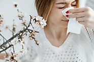 3 Signs Your Lingering Cold is Actually Just Allergies | Paper Pinecone