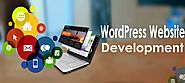 Customized WordPress Website Development Services | Agnito Technologies
