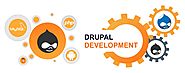 Reliable Drupal Development Company India | Drupal Development Services