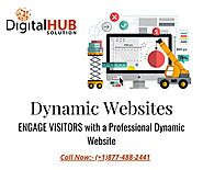 Professional Dynamic Websites for Improved Engagement