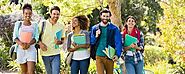 Essay Online