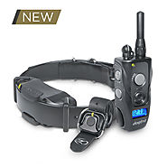 K9 Training Equipment for Dogs | E-Collar for Dogs | Dogtra