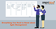 BRACE YOURSELVES HERES WHAT YOU NEED TO KNOW ABOUT AGILE MANAGEMENT