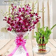 Buy / Send Floral ExpressionsOnline - OyeGifts