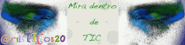 Mira dentro de TIC