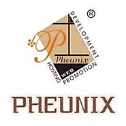 Pheunix Consultancy | Facebook
